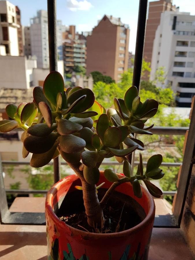Apartamento Carlucci Кордова Екстер'єр фото